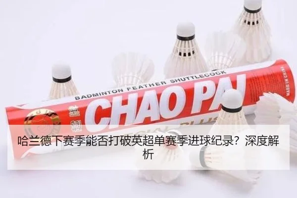 哈兰德下赛季能否打破英超单赛季进球纪录？深度解析