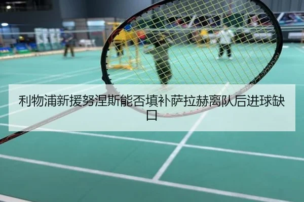 利物浦新援努涅斯能否填补萨拉赫离队后进球缺口（hth.com）