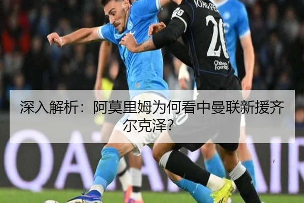 深入解析：阿莫里姆为何看中曼联新援齐尔克泽？